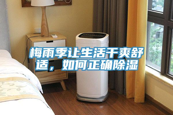 梅雨季讓生活干爽舒適，如何正確除濕