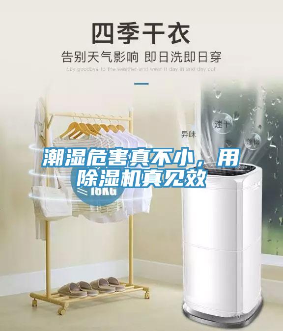 潮濕危害真不小，用除濕機(jī)真見效