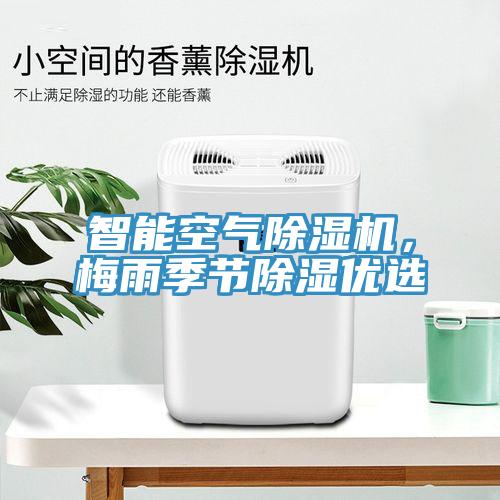 智能空氣除濕機，梅雨季節(jié)除濕優(yōu)選