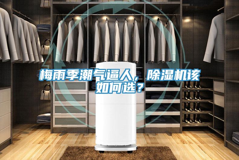 梅雨季潮氣逼人，除濕機(jī)該如何選？