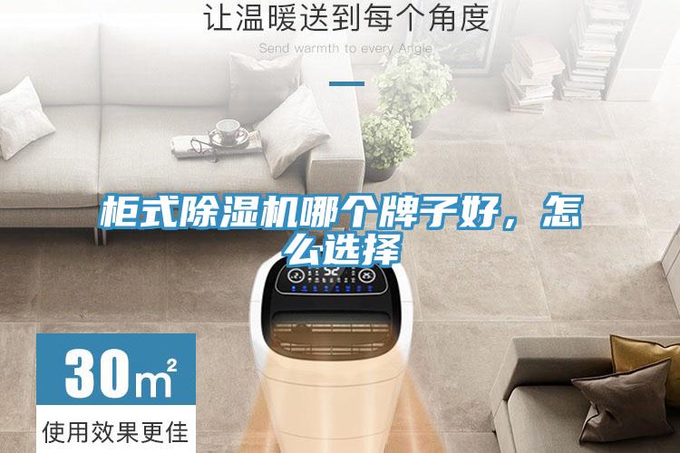 柜式除濕機(jī)哪個(gè)牌子好，怎么選擇