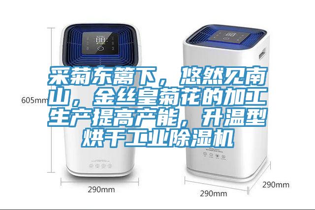 采菊東籬下，悠然見南山，金絲皇菊花的加工生產(chǎn)提高產(chǎn)能，升溫型烘干工業(yè)除濕機(jī)
