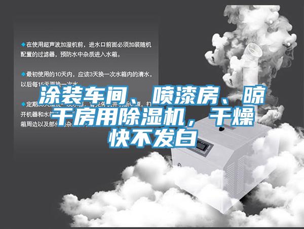 涂裝車間、噴漆房、晾干房用除濕機(jī)，干燥快不發(fā)白