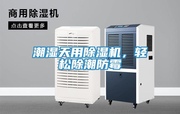 潮濕天用除濕機(jī)，輕松除潮防霉