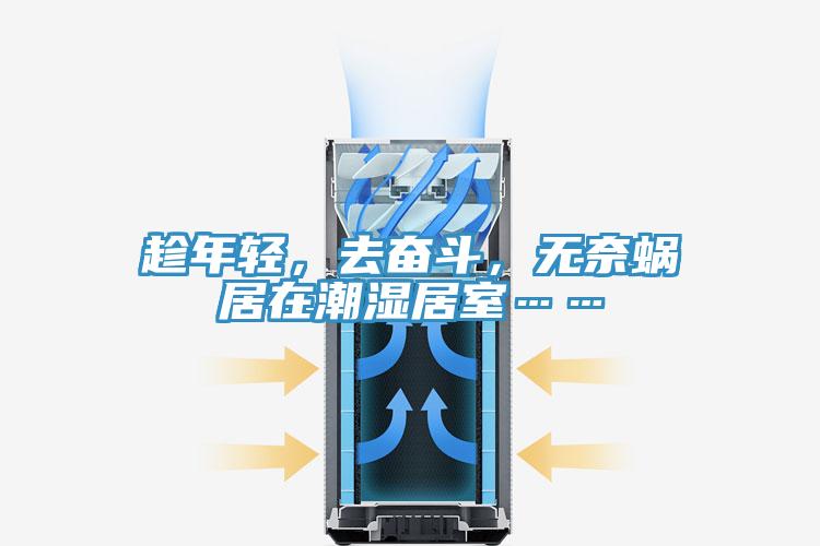 趁年輕，去奮斗，無奈蝸居在潮濕居室……