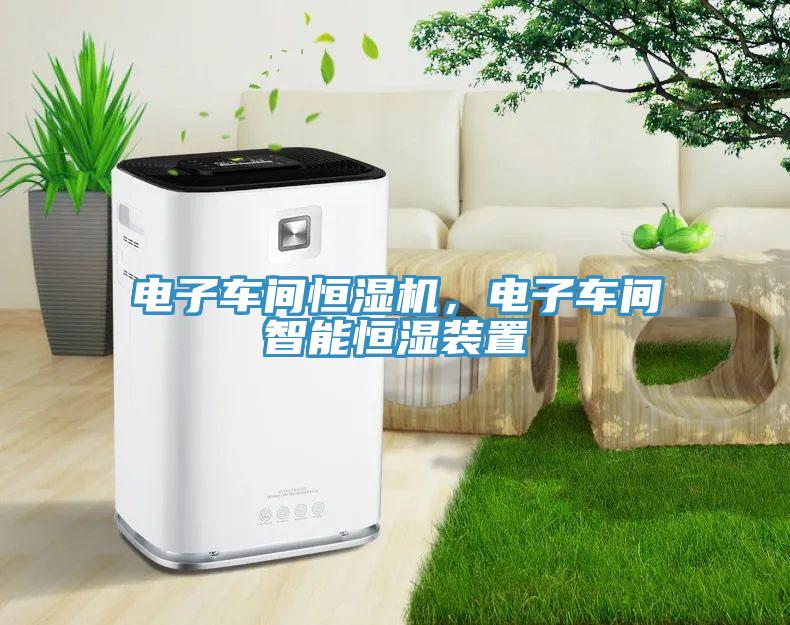 電子車(chē)間恒濕機(jī)，電子車(chē)間智能恒濕裝置