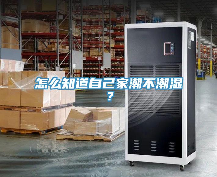 怎么知道自己家潮不潮濕？