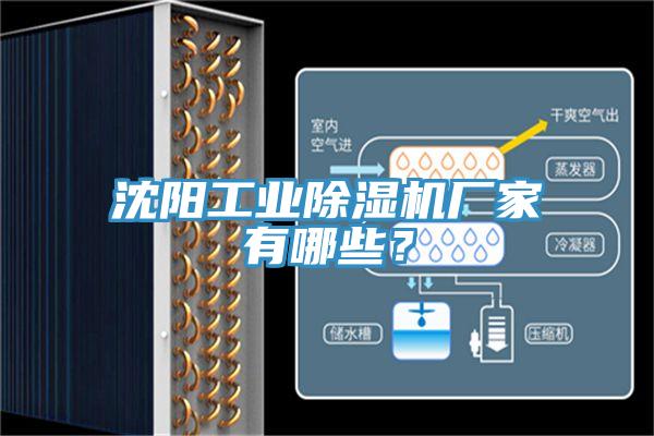 沈陽(yáng)工業(yè)除濕機(jī)廠家有哪些？
