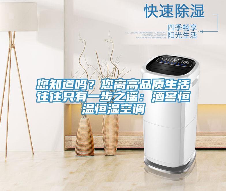 您知道嗎？您離高品質生活往往只有一步之遙：酒窖恒溫恒濕空調