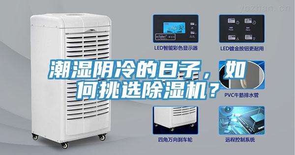 潮濕陰冷的日子，如何挑選除濕機？