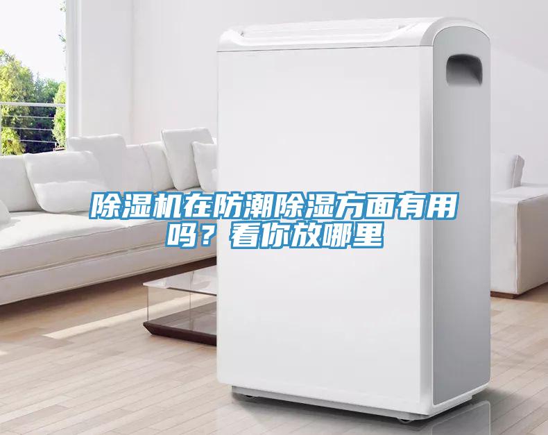 除濕機(jī)在防潮除濕方面有用嗎？看你放哪里