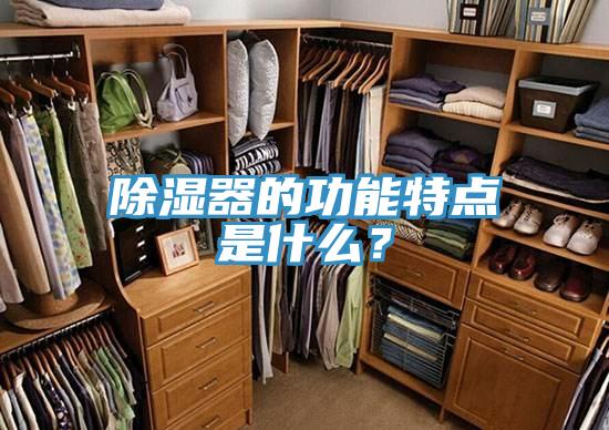 除濕器的功能特點(diǎn)是什么？
