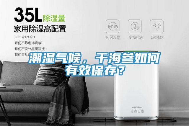 潮濕氣候，干海參如何有效保存？