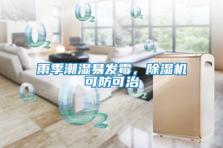雨季潮濕易發(fā)霉，除濕機(jī)可防可治