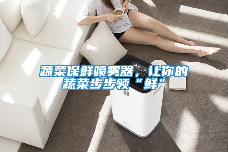 蔬菜保鮮噴霧器，讓你的蔬菜步步領“鮮”