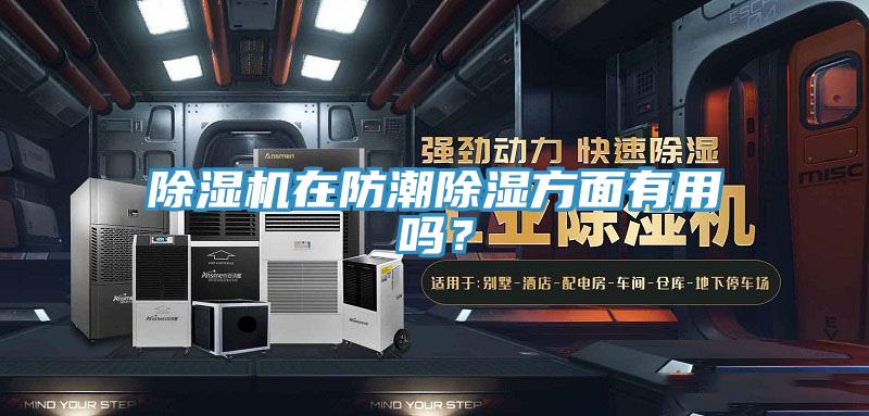 除濕機(jī)在防潮除濕方面有用嗎？