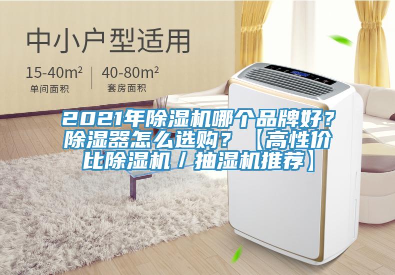 2021年除濕機(jī)哪個品牌好？除濕器怎么選購？【高性價比除濕機(jī)／抽濕機(jī)推薦】