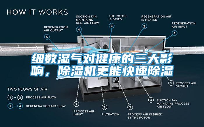 細(xì)數(shù)濕氣對(duì)健康的三大影響，除濕機(jī)更能快速除濕