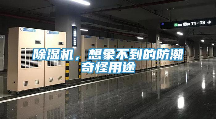 除濕機，想象不到的防潮奇怪用途