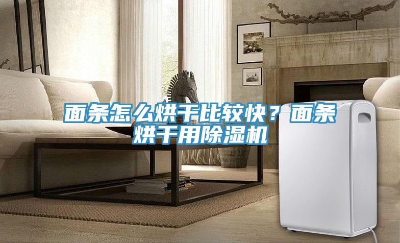 面條怎么烘干比較快？面條烘干用除濕機(jī)