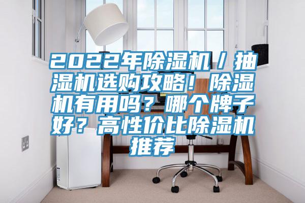 2022年除濕機(jī)／抽濕機(jī)選購攻略！除濕機(jī)有用嗎？哪個牌子好？高性價(jià)比除濕機(jī)推薦