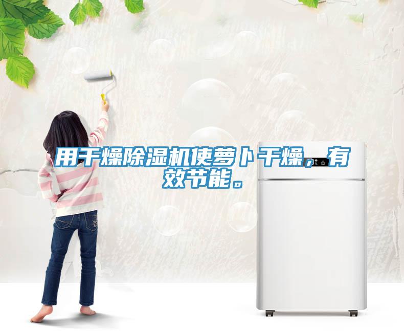 用干燥除濕機使蘿卜干燥，有效節(jié)能。