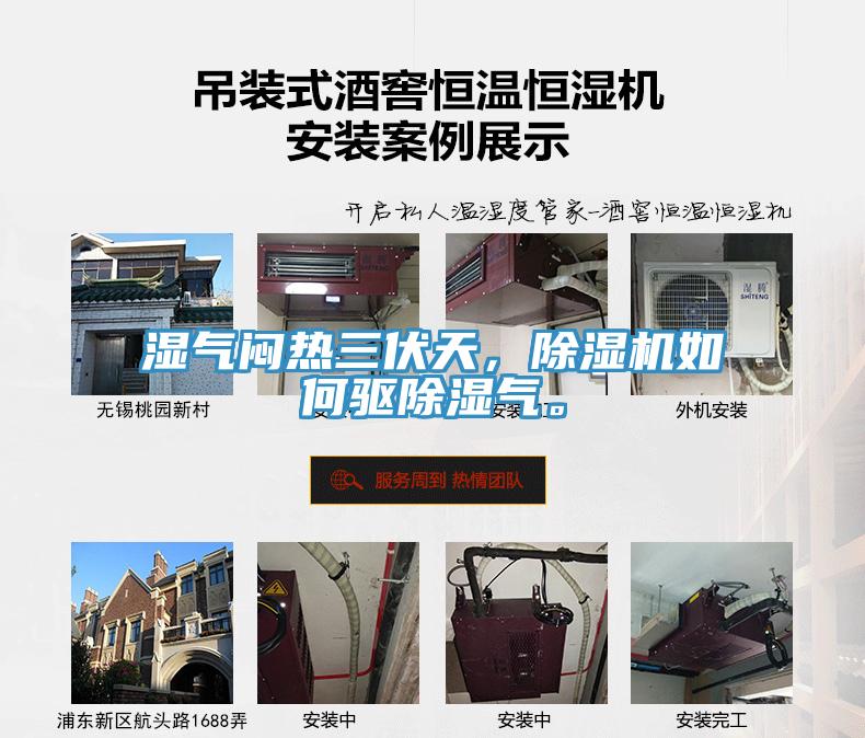 濕氣悶熱三伏天，除濕機如何驅除濕氣。