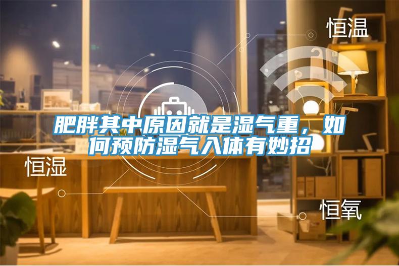 肥胖其中原因就是濕氣重，如何預(yù)防濕氣入體有妙招