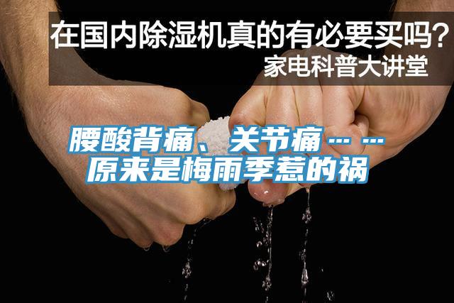 腰酸背痛、關(guān)節(jié)痛……原來(lái)是梅雨季惹的禍