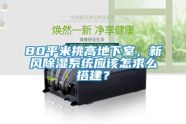 80平米挑高地下室，新風(fēng)除濕系統(tǒng)應(yīng)該怎求么搭建？