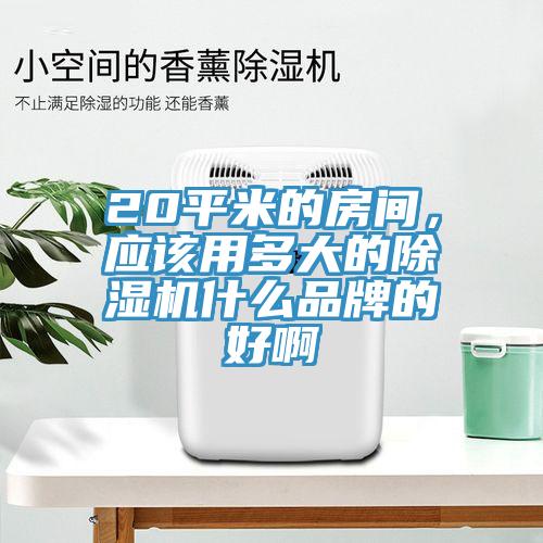 20平米的房間，應該用多大的除濕機什么品牌的好啊