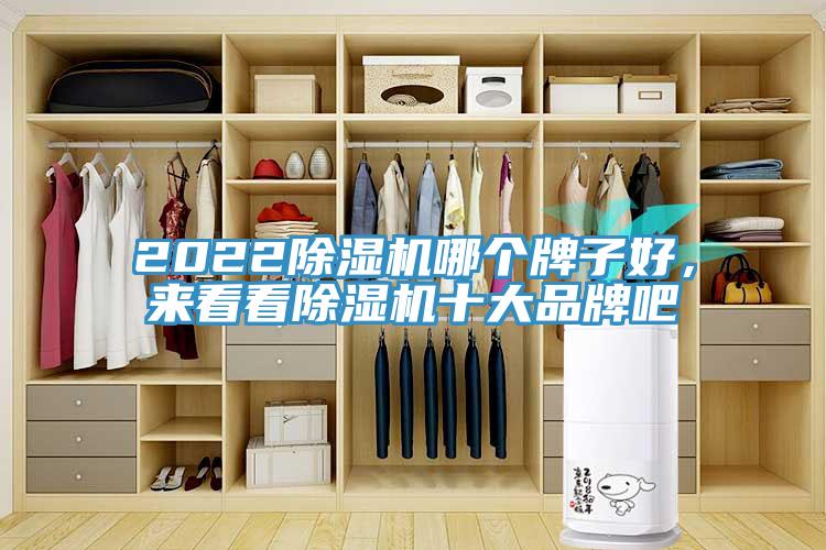 2022除濕機(jī)哪個牌子好，來看看除濕機(jī)十大品牌吧