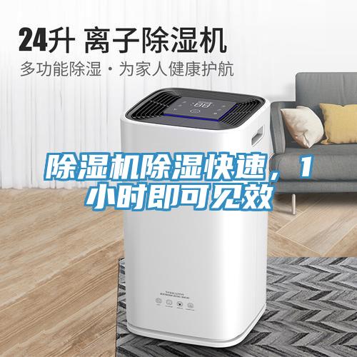除濕機(jī)除濕快速，1小時(shí)即可見(jiàn)效