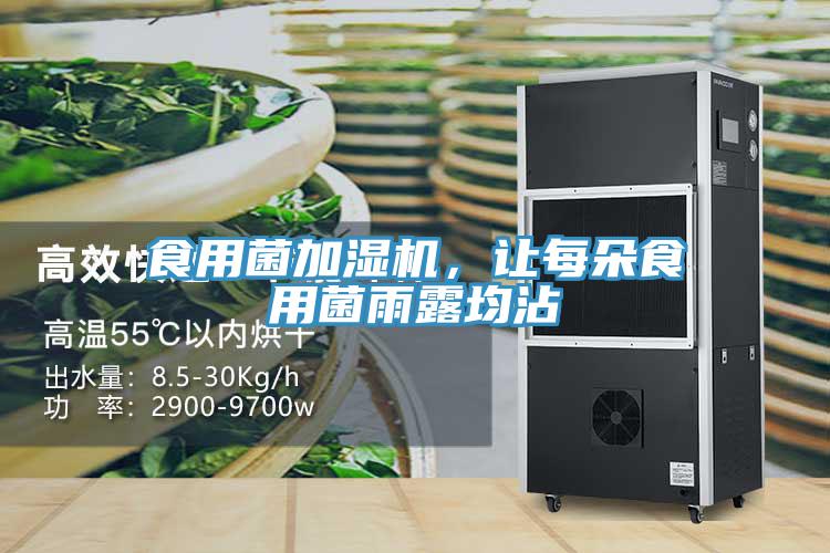 食用菌加濕機(jī)，讓每朵食用菌雨露均沾