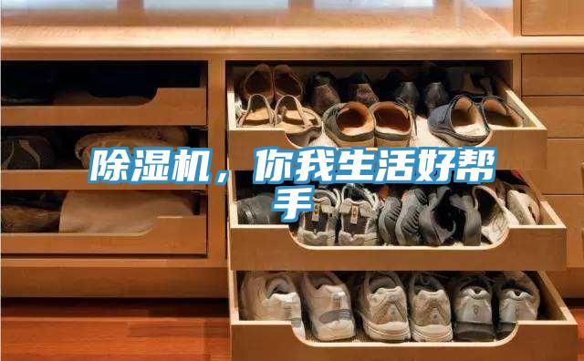 除濕機，你我生活好幫手