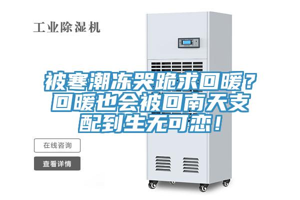 被寒潮凍哭跪求回暖？回暖也會被回南天支配到生無可戀！