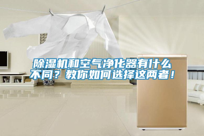除濕機(jī)和空氣凈化器有什么不同？教你如何選擇這兩者！
