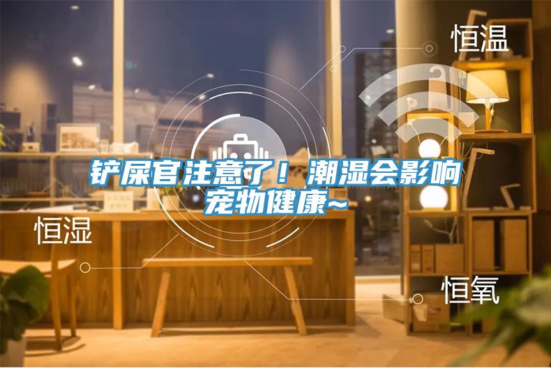 鏟屎官注意了！潮濕會影響寵物健康~