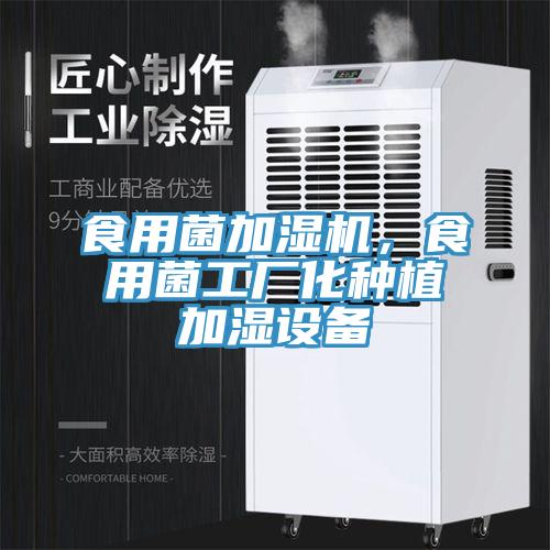 食用菌加濕機(jī)，食用菌工廠化種植加濕設(shè)備