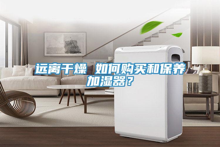 遠(yuǎn)離干燥 如何購買和保養(yǎng)加濕器？