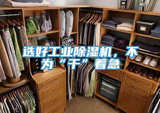 選好工業(yè)除濕機，不為“干”著急
