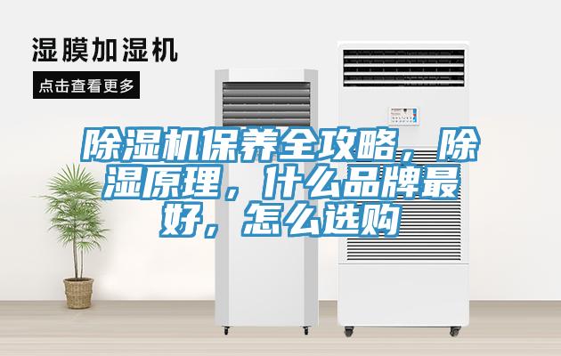 除濕機保養(yǎng)全攻略，除濕原理，什么品牌最好，怎么選購