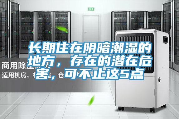 長(zhǎng)期住在陰暗潮濕的地方，存在的潛在危害，可不止這5點(diǎn)