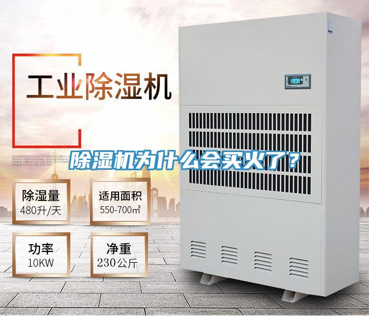 除濕機(jī)為什么會買火了？