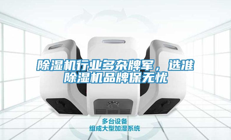 除濕機(jī)行業(yè)多雜牌軍，選準(zhǔn)除濕機(jī)品牌保無(wú)憂
