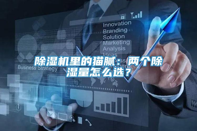 除濕機里的貓膩：兩個除濕量怎么選？
