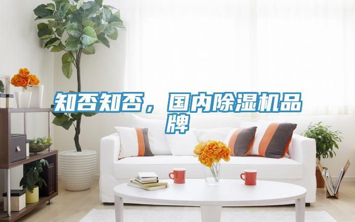 知否知否，國(guó)內(nèi)除濕機(jī)品牌