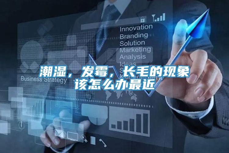 潮濕，發(fā)霉，長(zhǎng)毛的現(xiàn)象該怎么辦最近