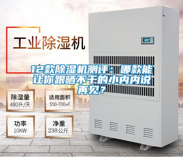 12款除濕機(jī)測評：哪款能讓你跟曬不干的小內(nèi)內(nèi)說再見？