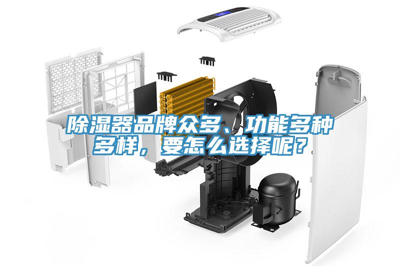 除濕器品牌眾多、功能多種多樣，要怎么選擇呢？